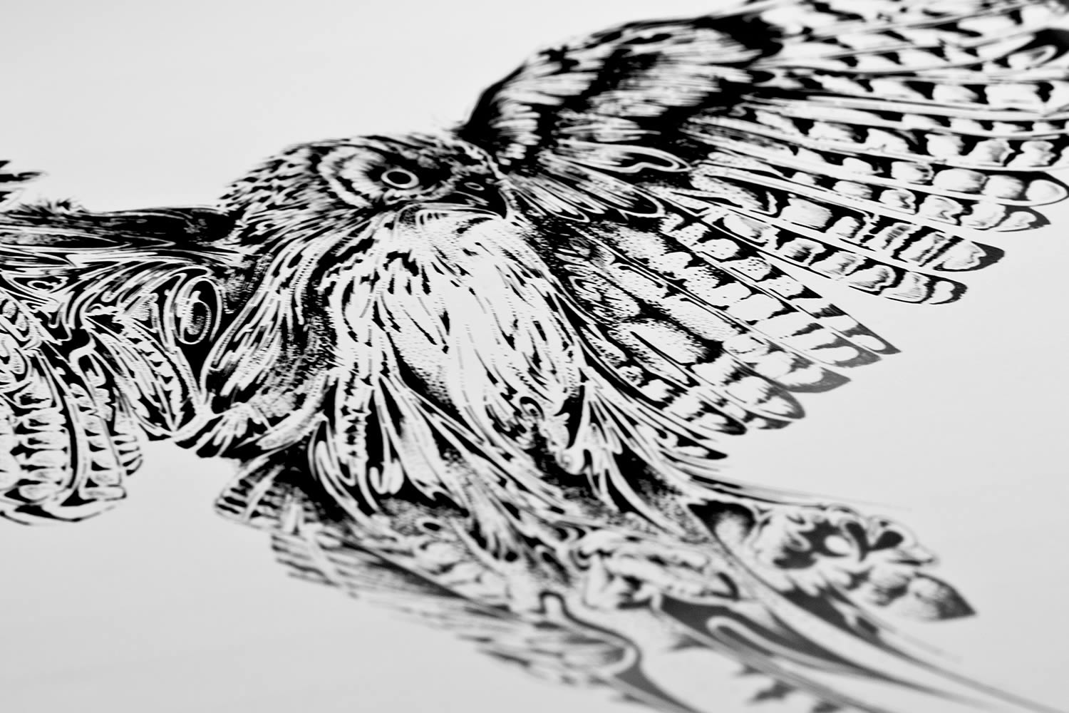 eagle pen drawing