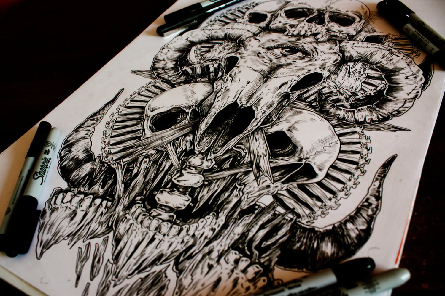 Skull Drawings by a Man Called E. G. The Freak – Scene360