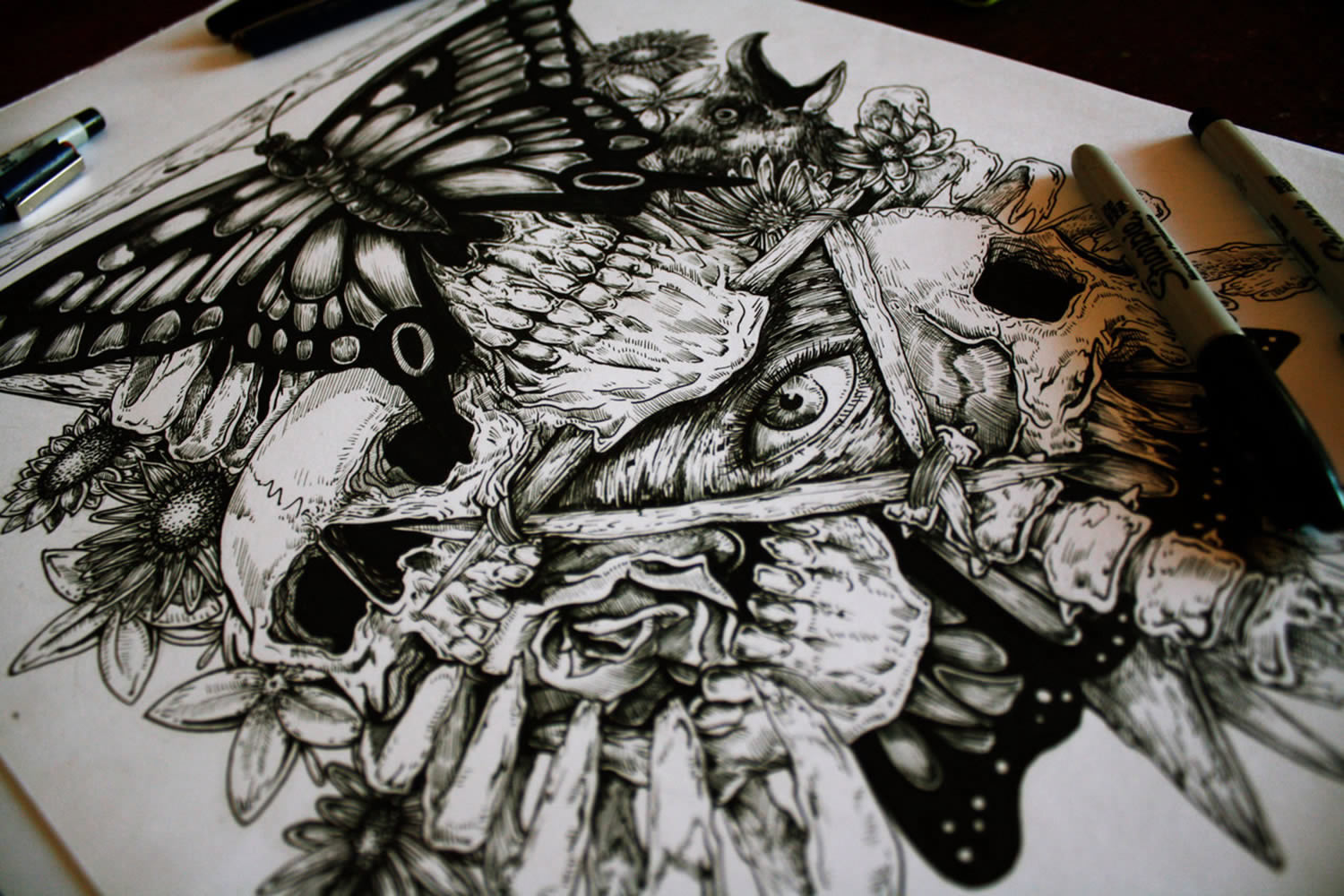 ink drawing with butterfly and eye of providence, metamorphosis by e.g. the freak