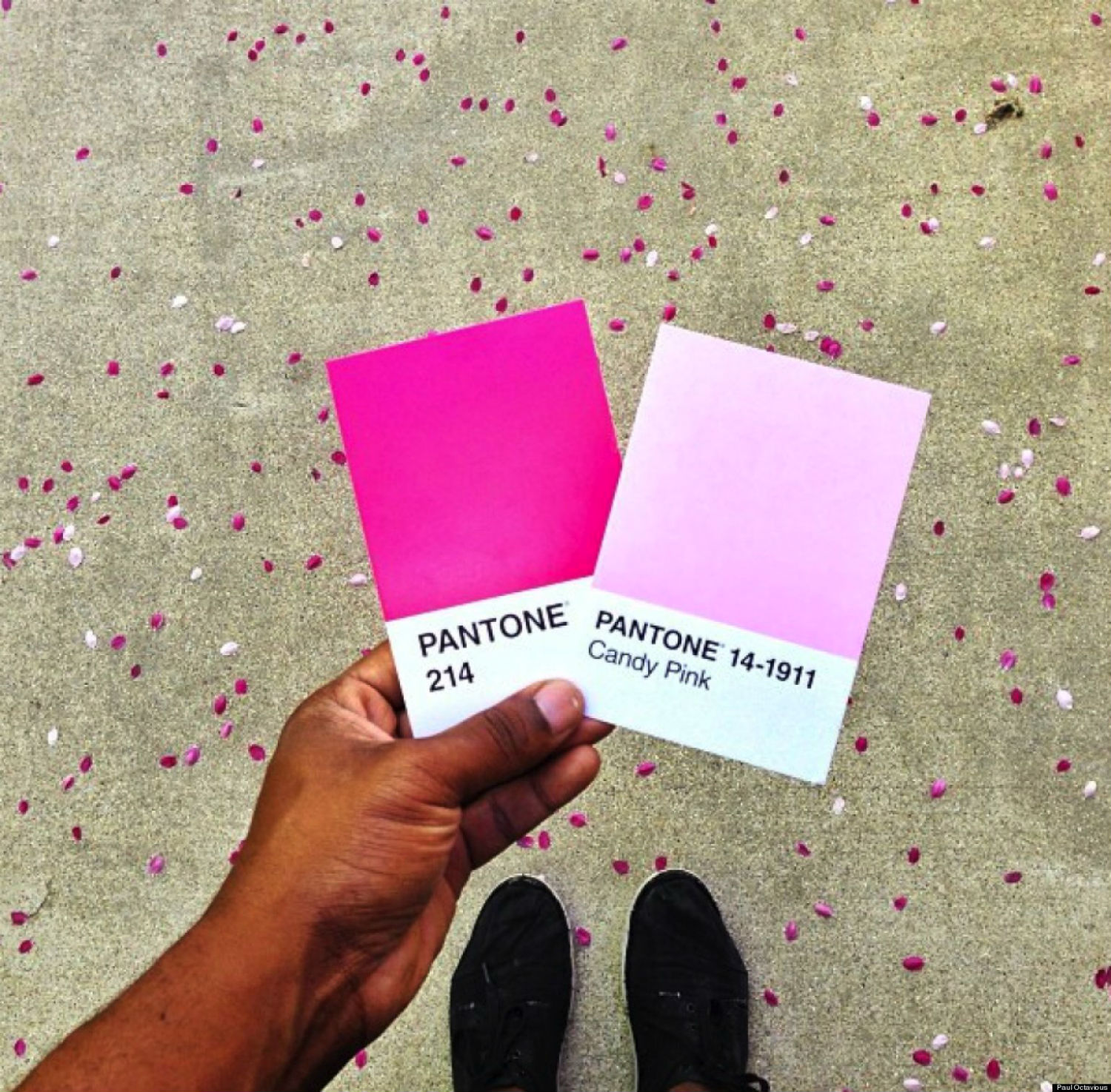 paul octavious instagram photography colour pantone