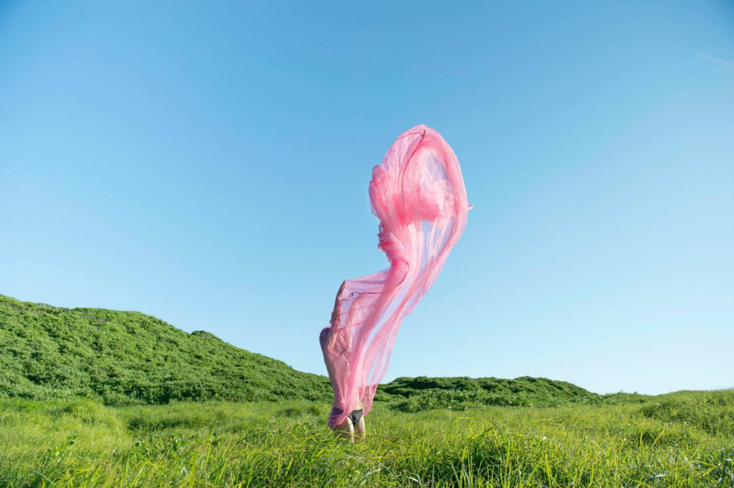 prue stent photography pink 