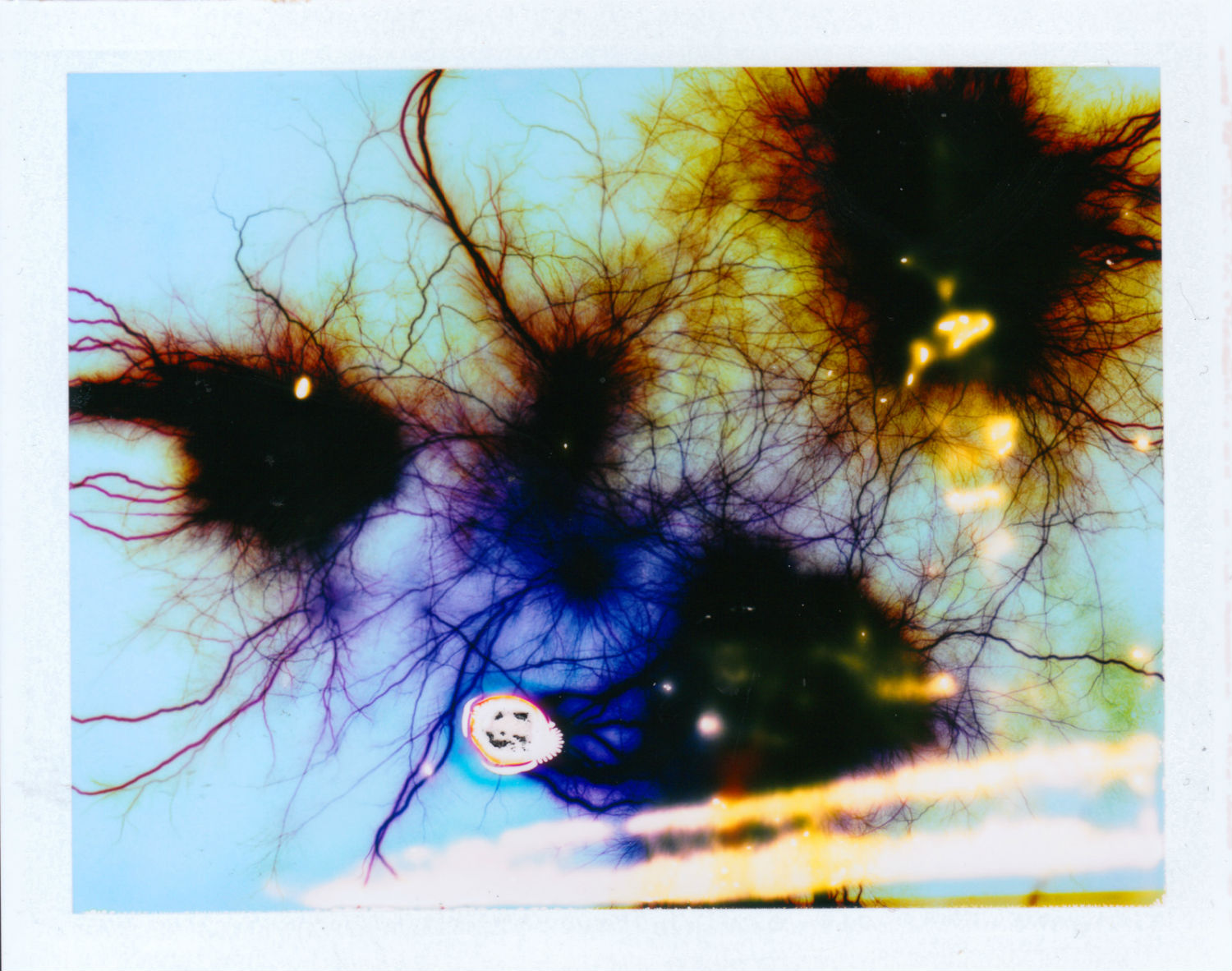 phillip stearns polaroid electric shock color abstract