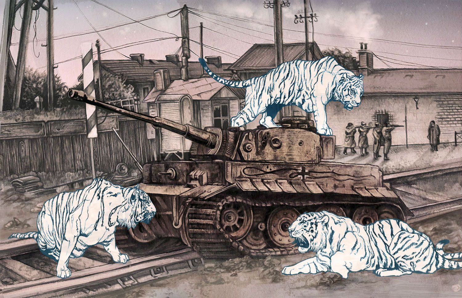 aj frena illustration animal tiger tanks