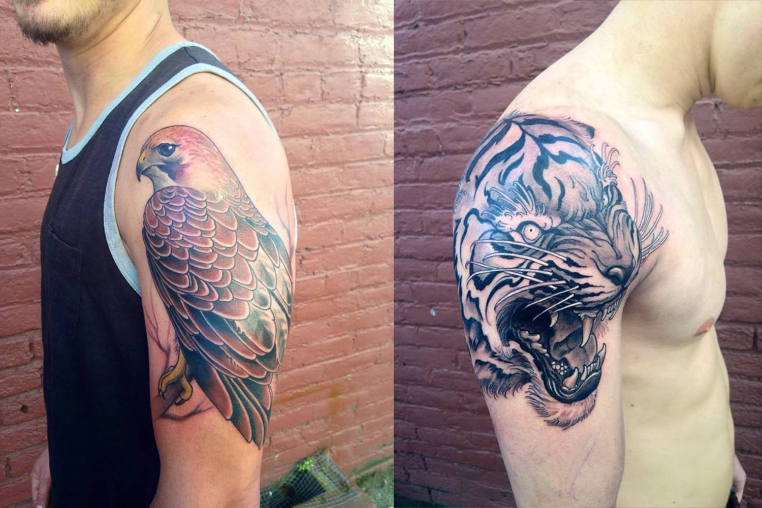 hawk and tiger tattoos by jeff norton