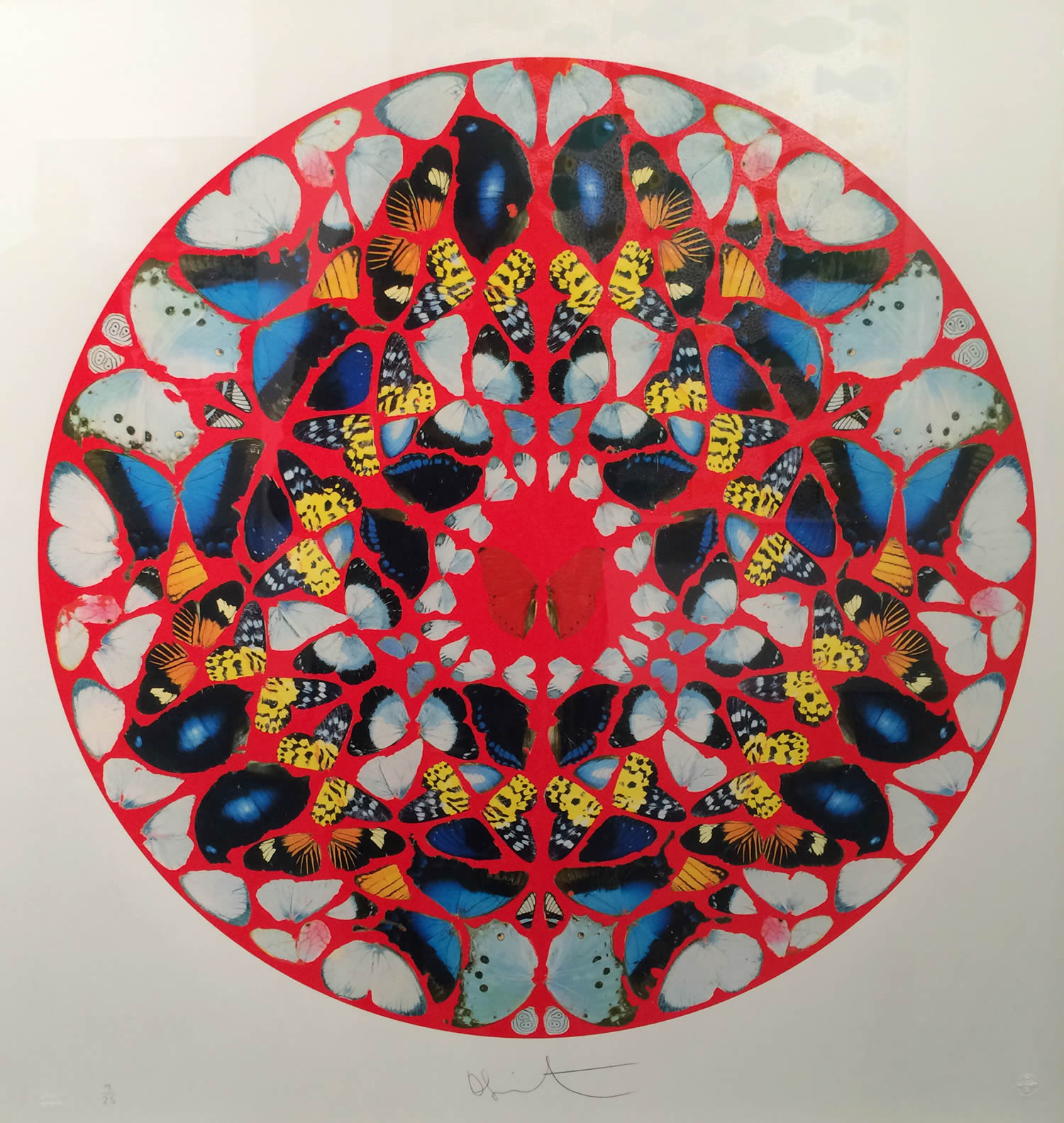 circle pattern art by damien hirst