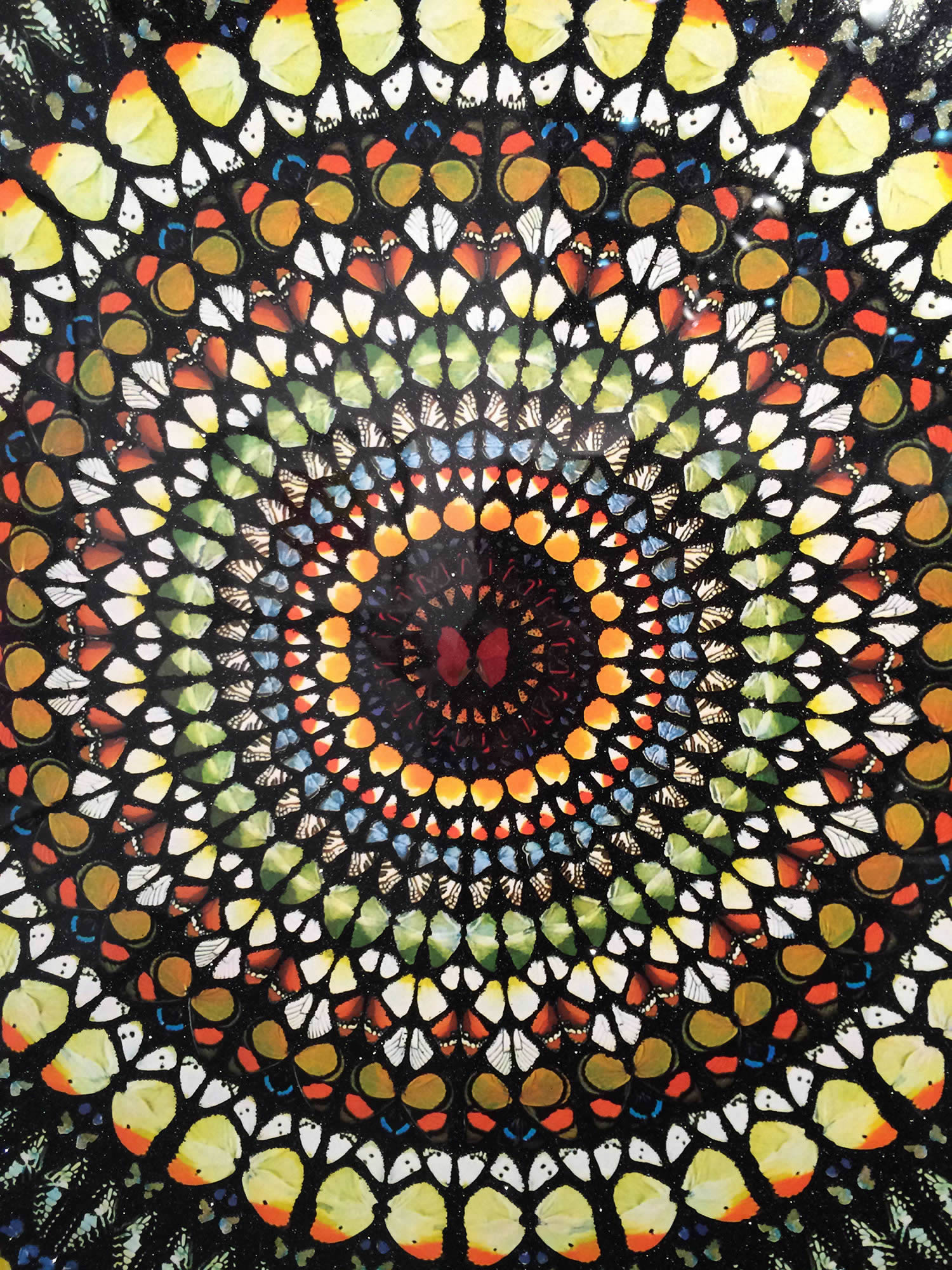 butterfly pattern art by damien hirst