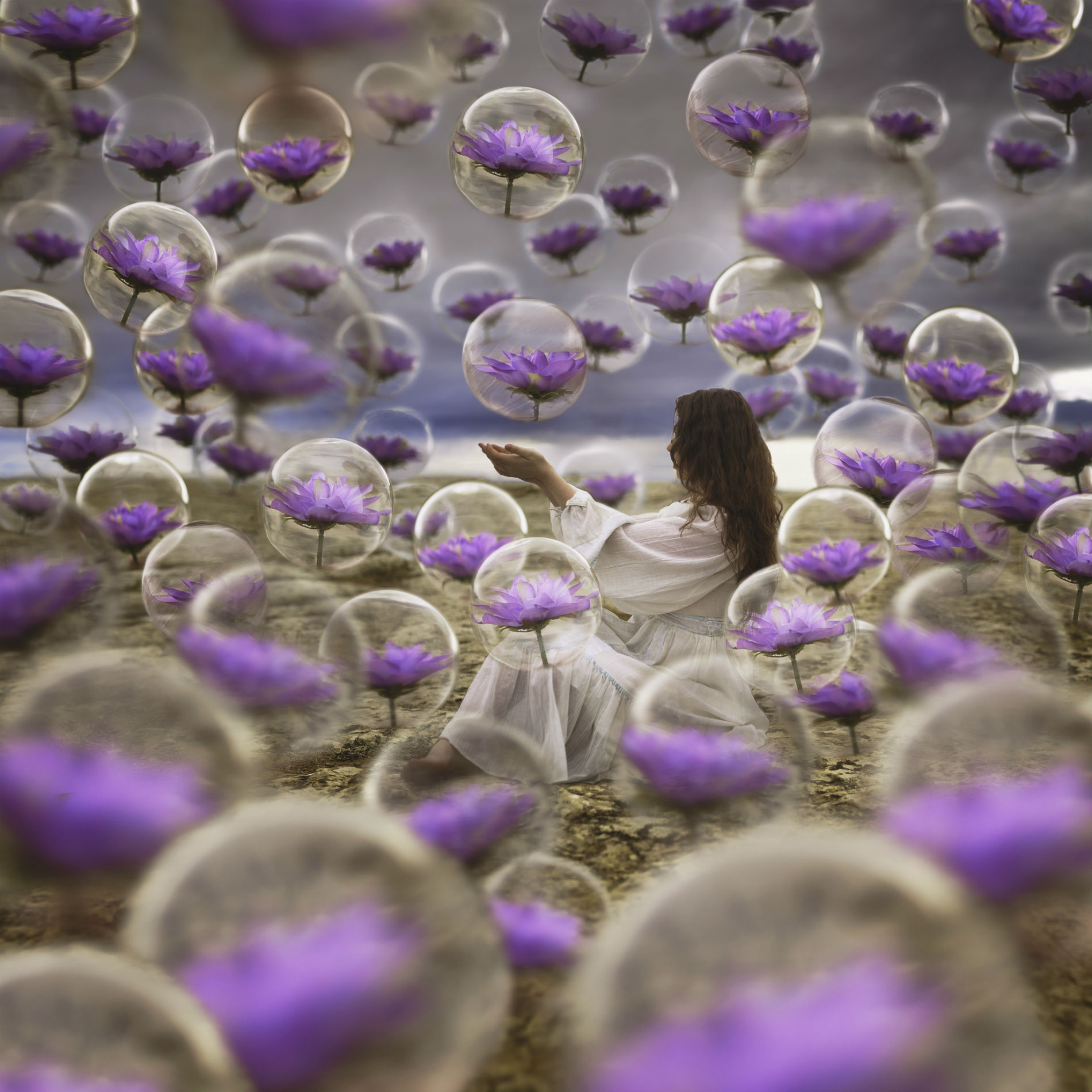 jenna martin photography surreal purple flowers