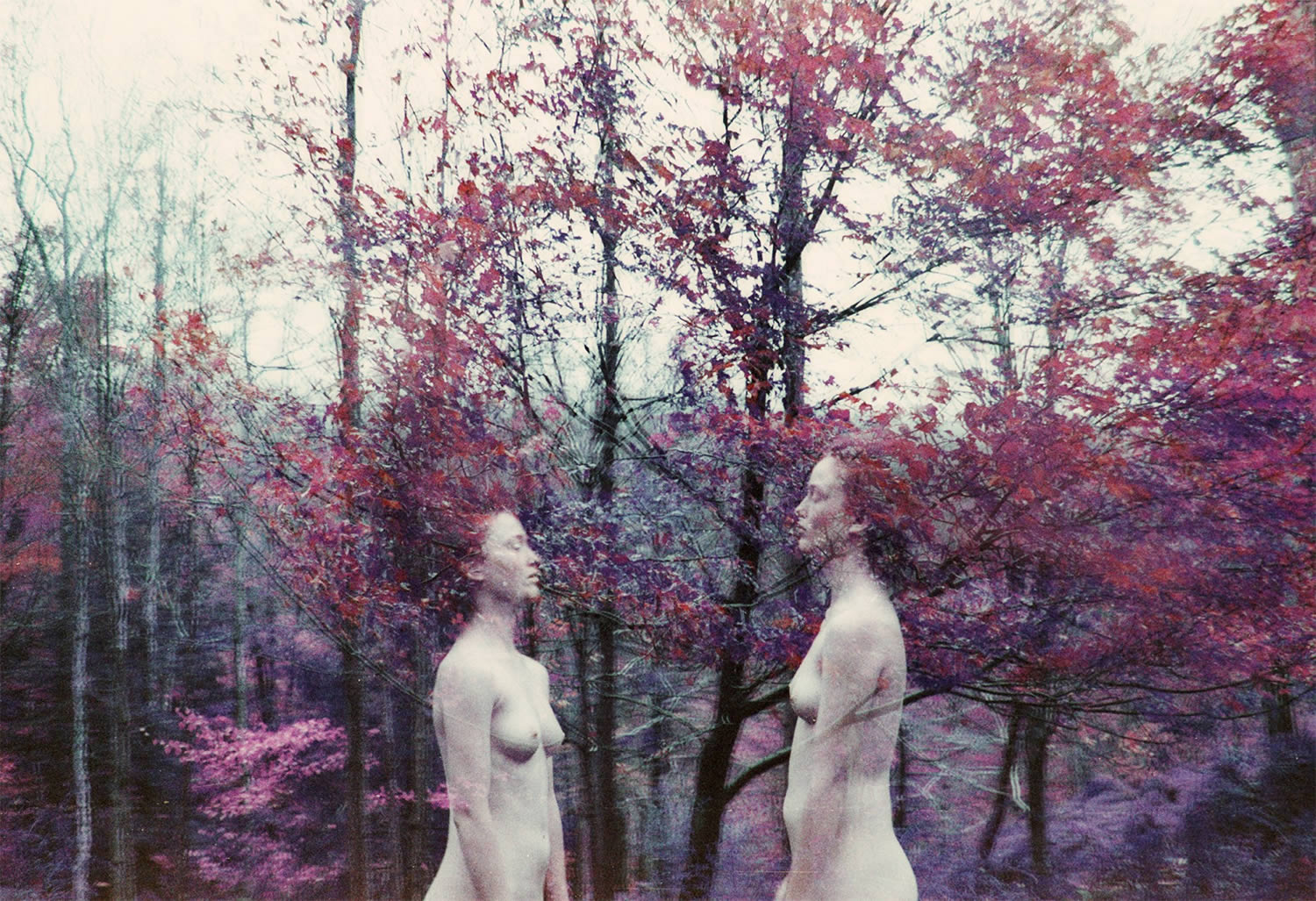 nudes in forest, by amanda charchian
