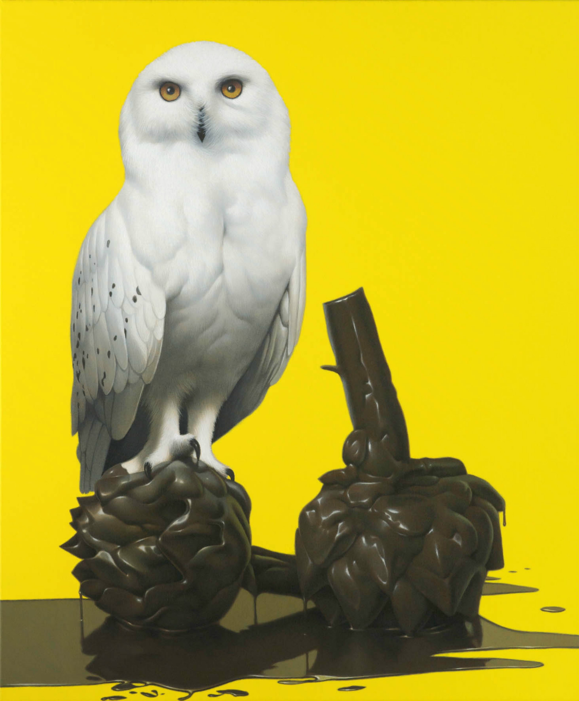 eckart hahn painting hyperrealist colour animal owl yellow
