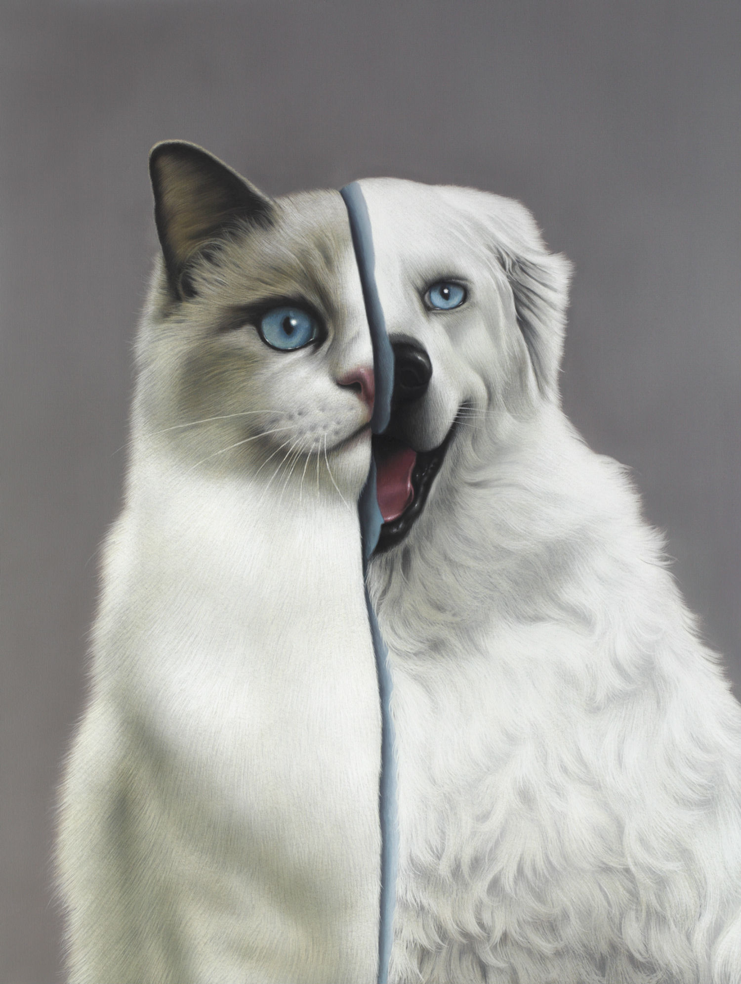 eckart hahn painting hyperrealist colour animal cat dog split