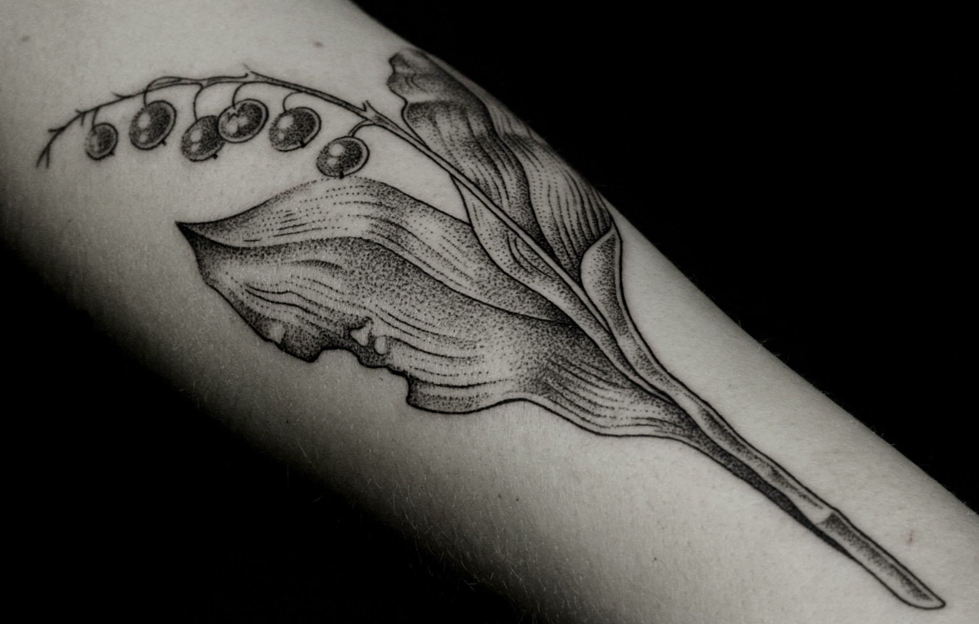 botanical illustration tattoo