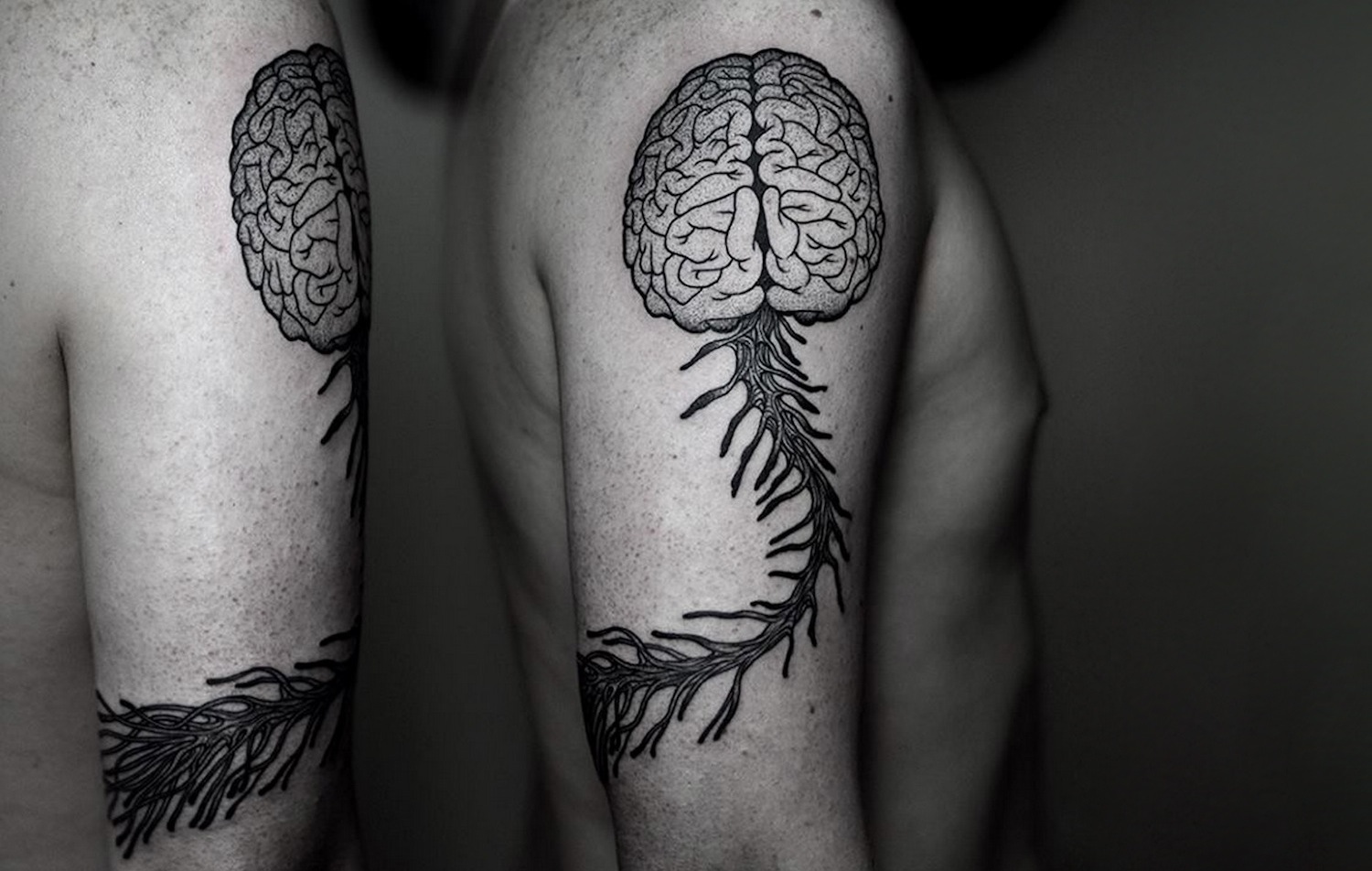 anatomical brain tattoo