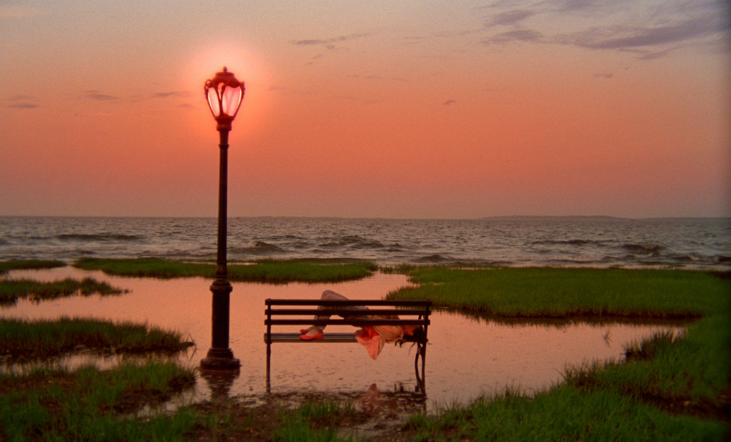 shortbus lampost sky