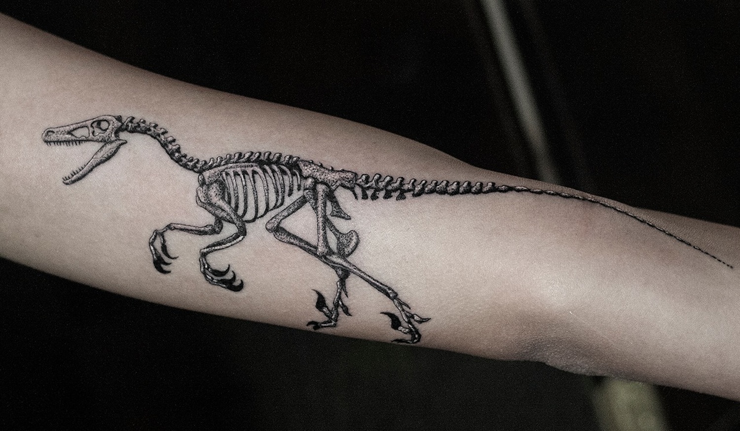 Anatomicum Tattoo Artist Katy Wiedemann Translates Science to Skin and  Paper  Female Tattooers