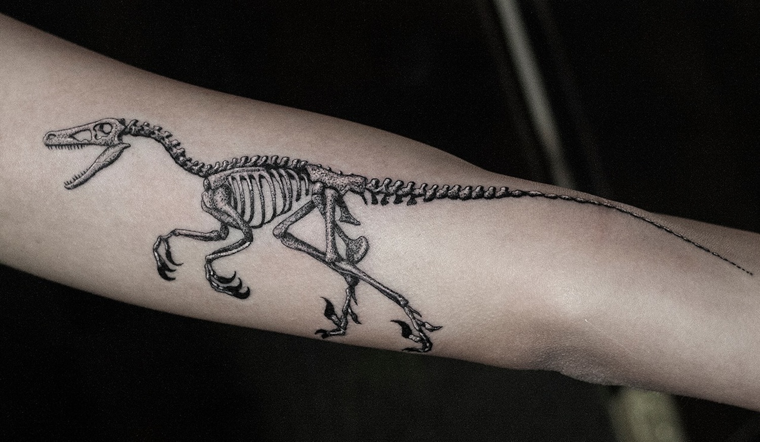 98+ Free Dinosaur Tattoo Inspiration HD Tattoo