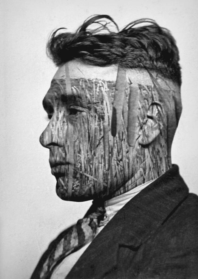 man with corn field on face, double exposure, hunter shooting 3d box, animated gif by bill domonkos