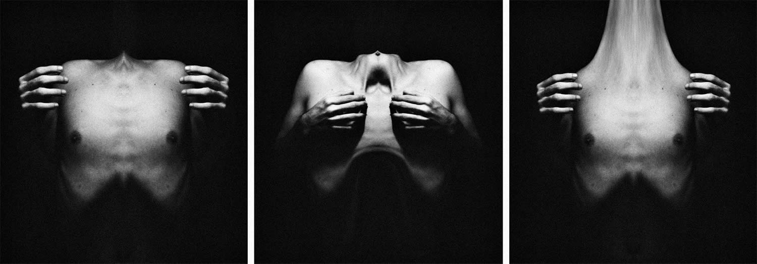 rib cage, photos by steoville
