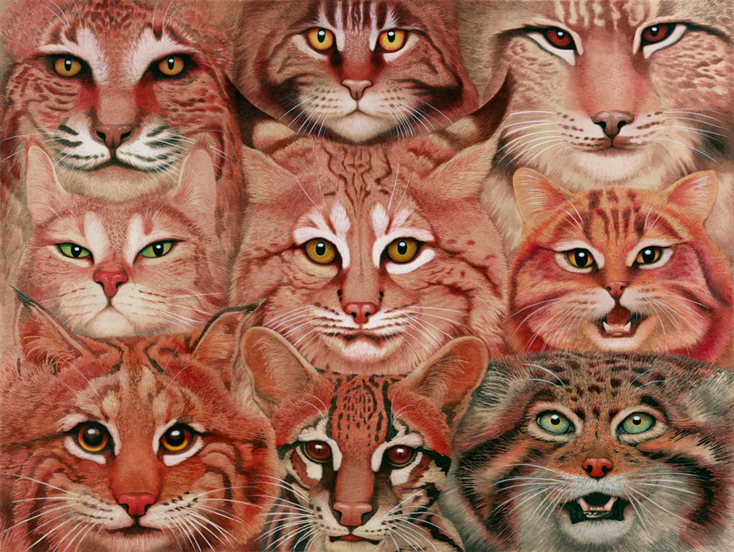 tiffany bozic surreal animals cats