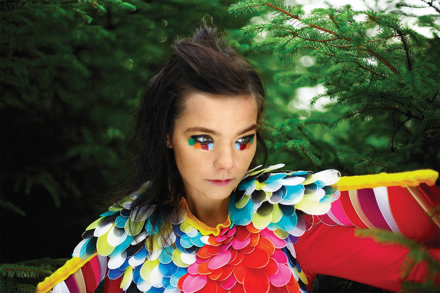 bjork fashion music colour iceland