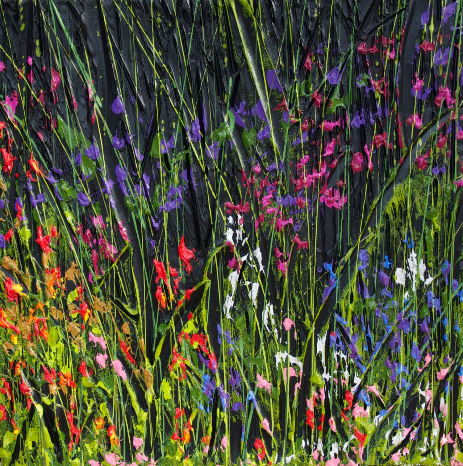  peintres aveugles jeff hanson couleur champ fleurs herbe