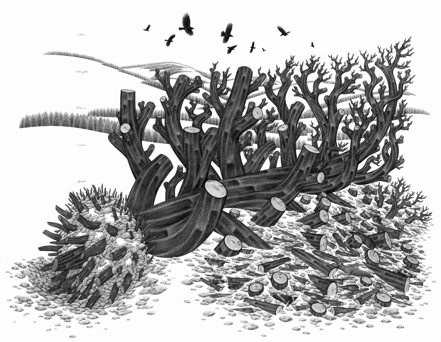 eric beltz drawing black white american mythology shade imagery tree