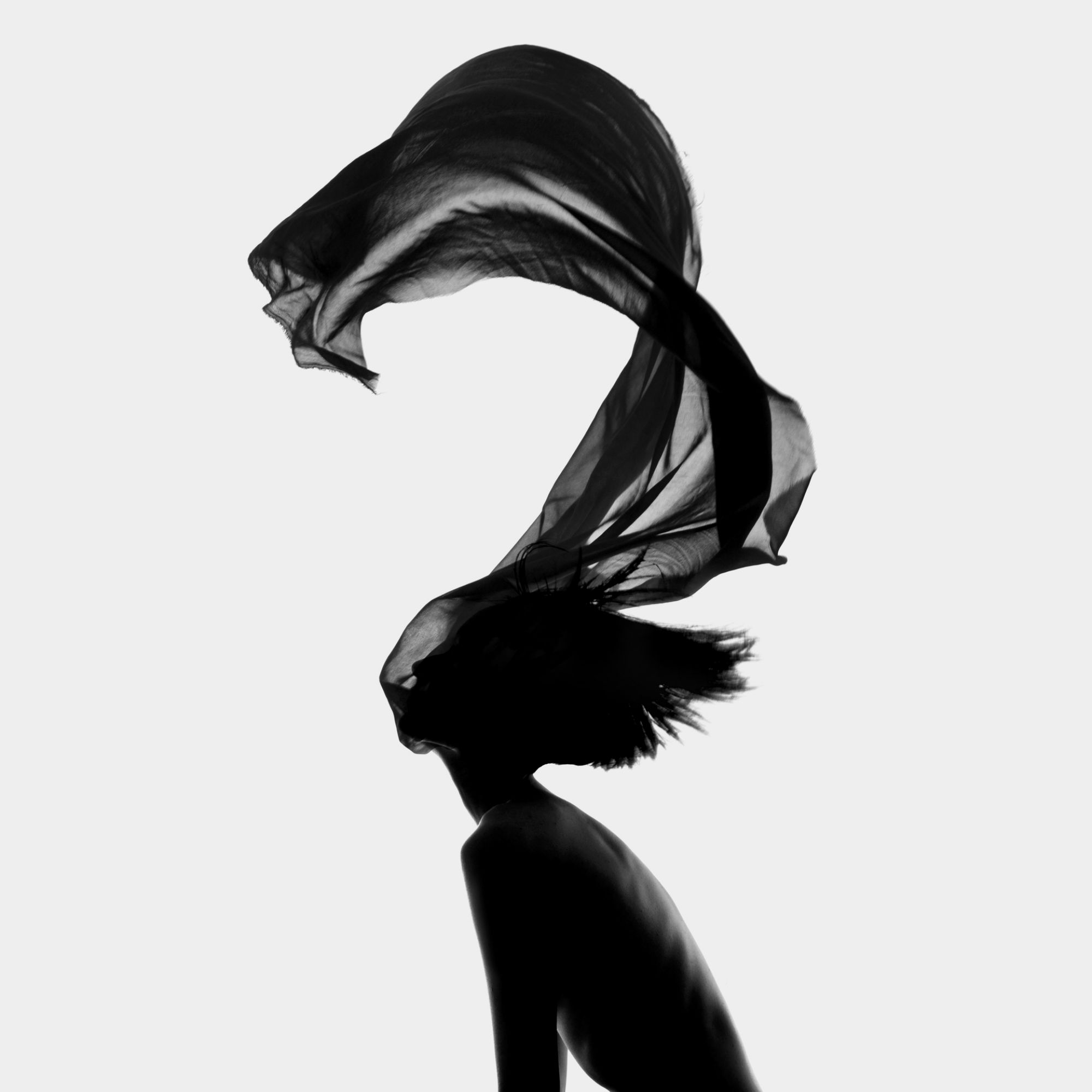 flora boors black white photography nude shadow les monstres 
