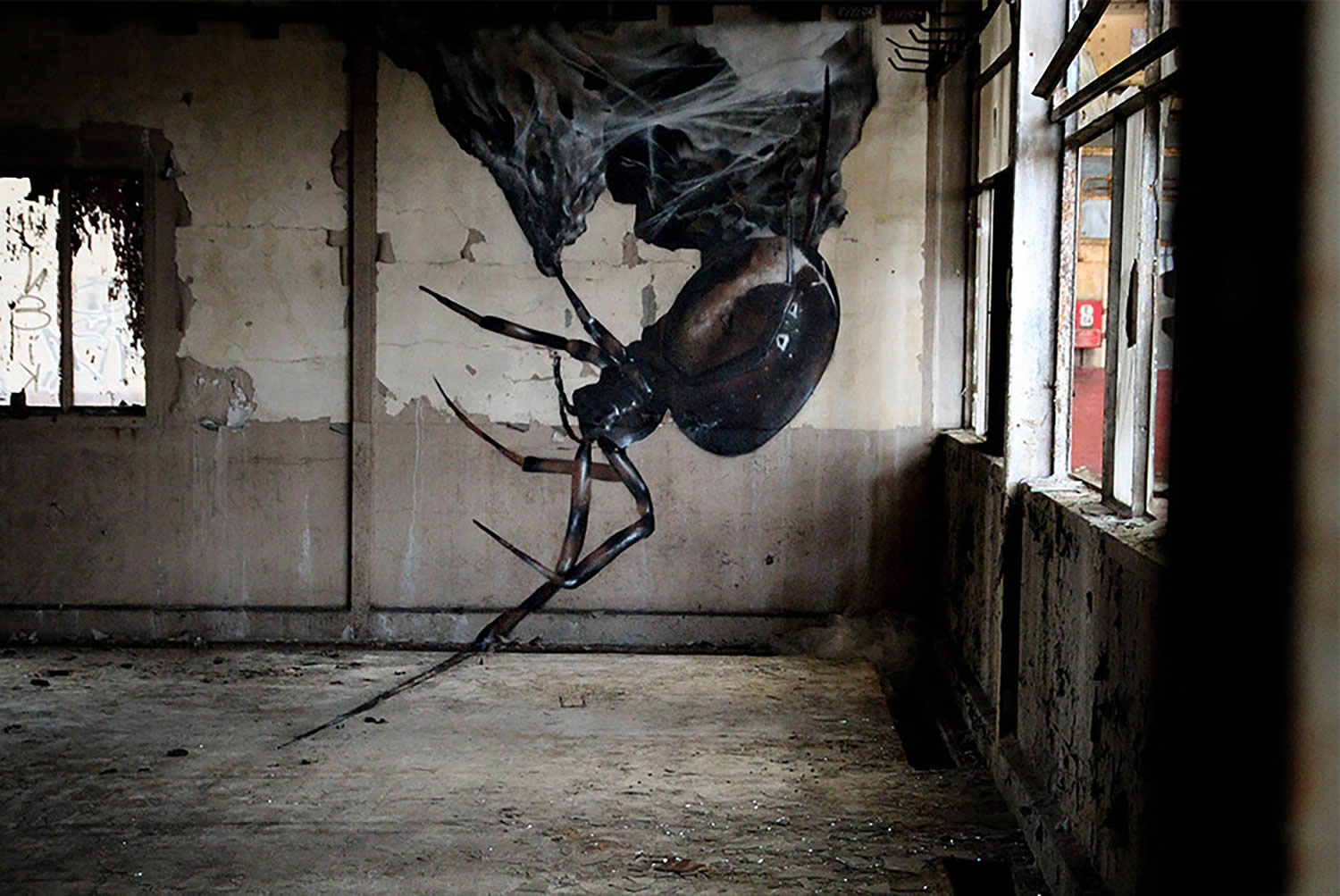 spider coming down a wall,graffiti by mantra rea