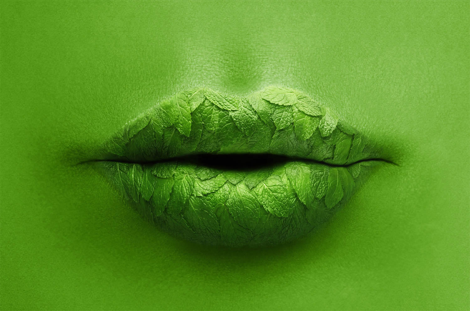 mint lips, Staudinger + Franke, surreal