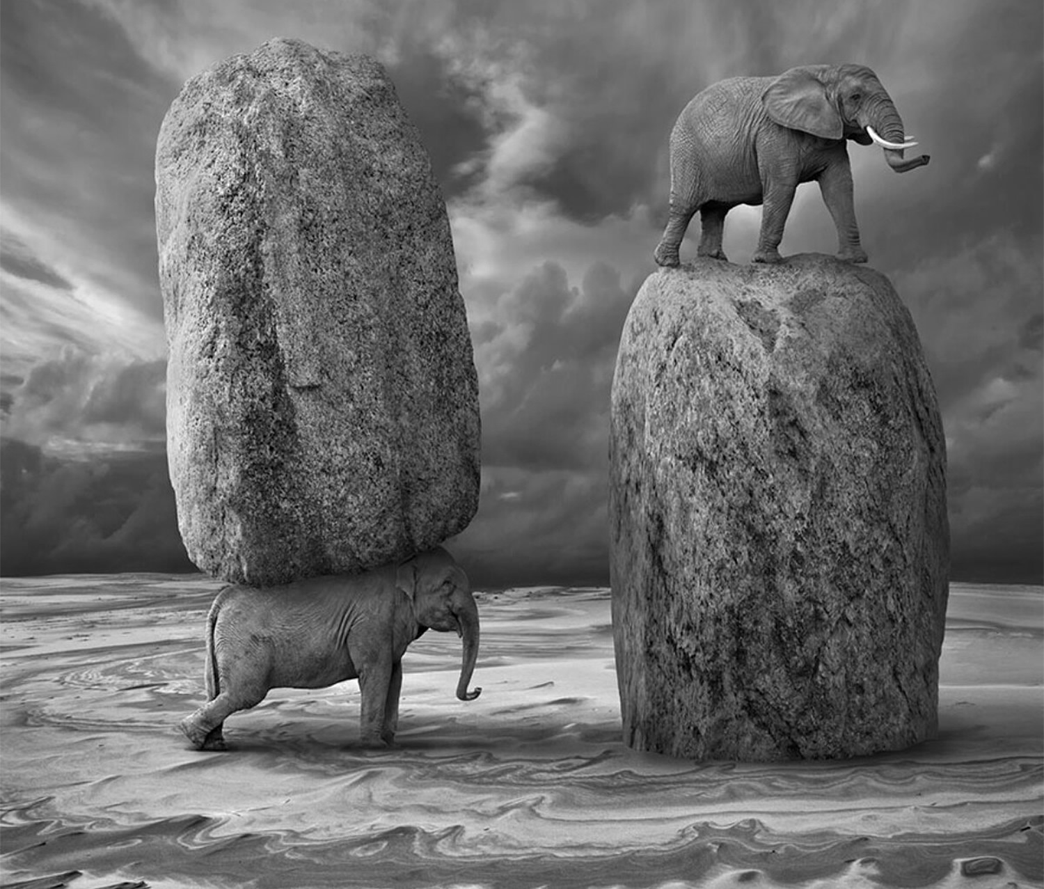 elephants and rocks, surreal photo Dariusz Klimczak