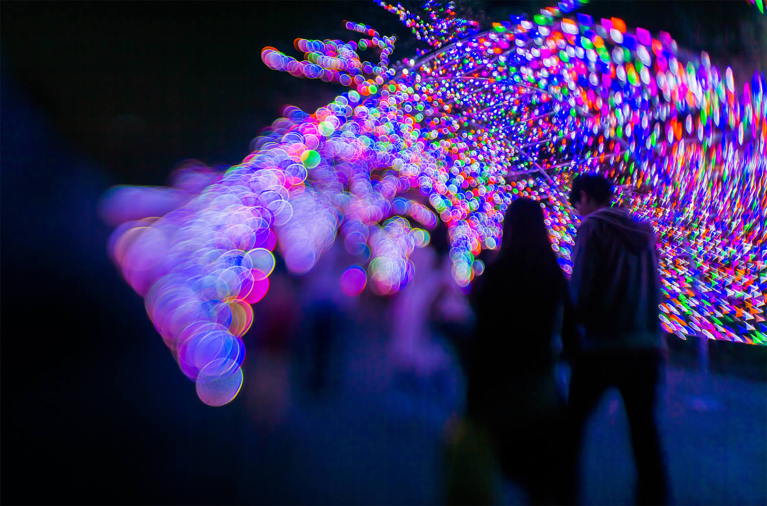 neon lights, bokeh photography, japan, by Takashi Kitajima