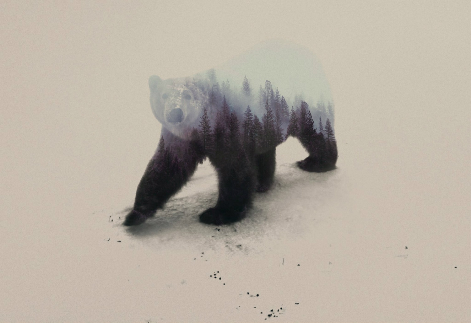 andreas lie double exposure animals
