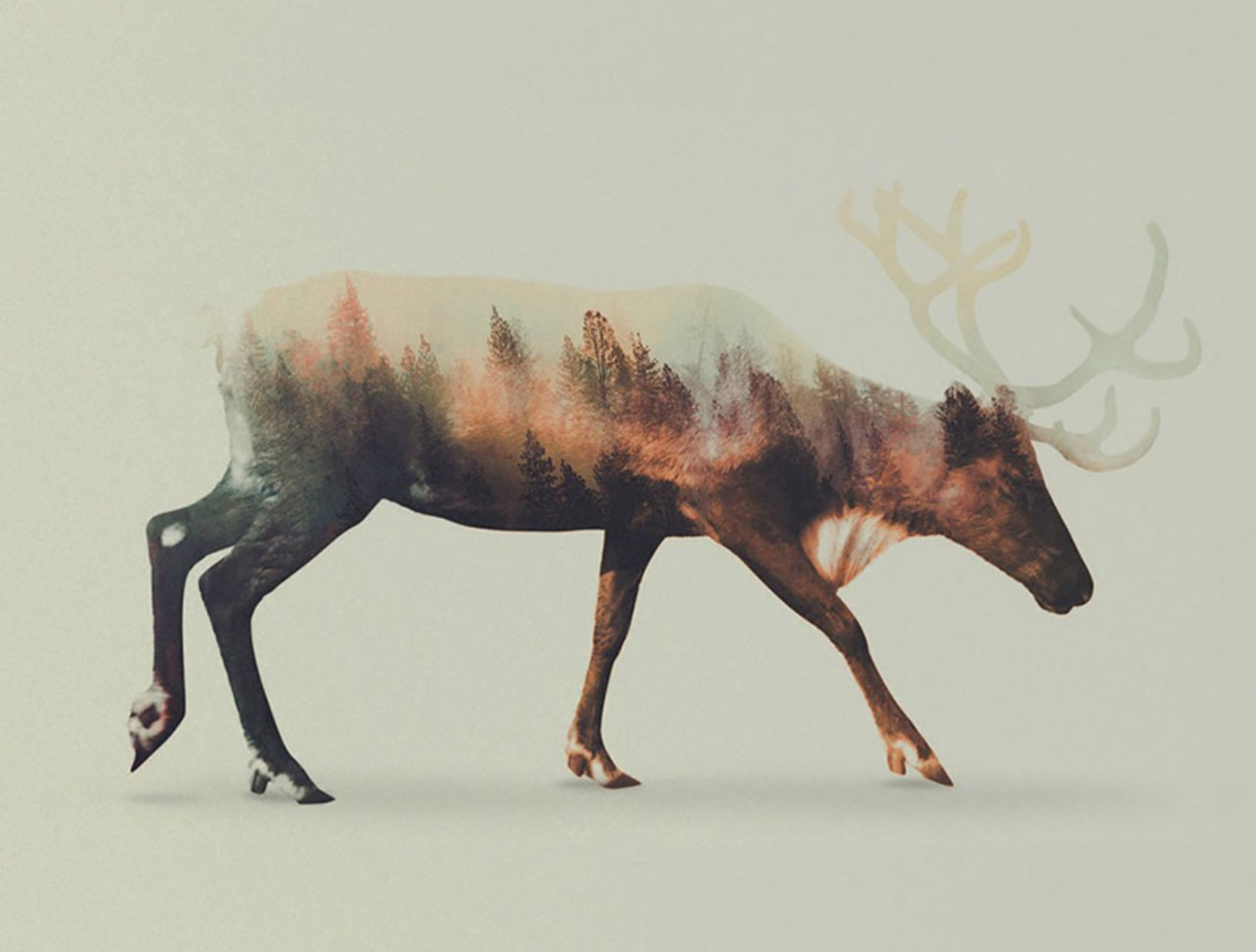 andreas lie double exposure animals