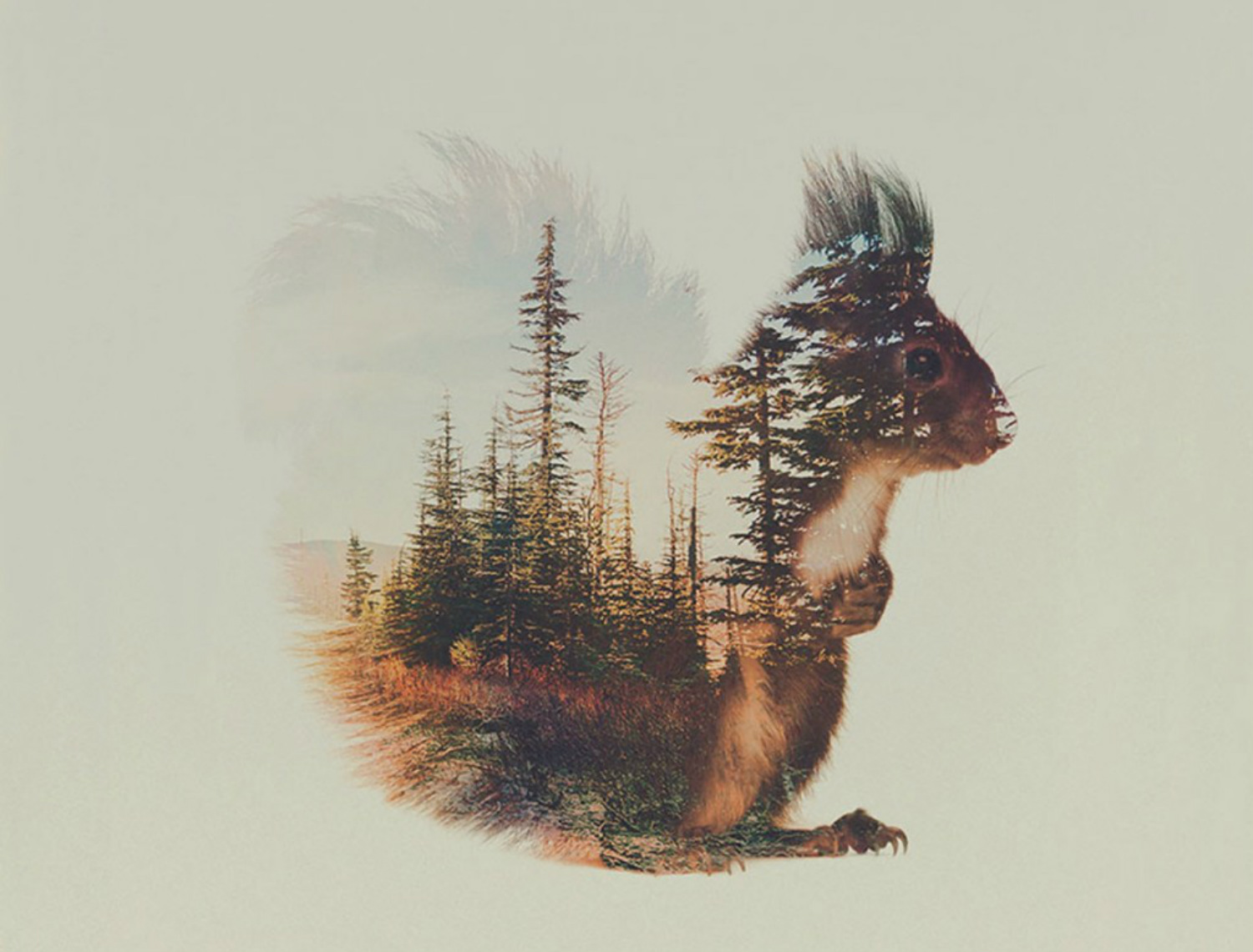 andreas lie double exposure animals squirrel