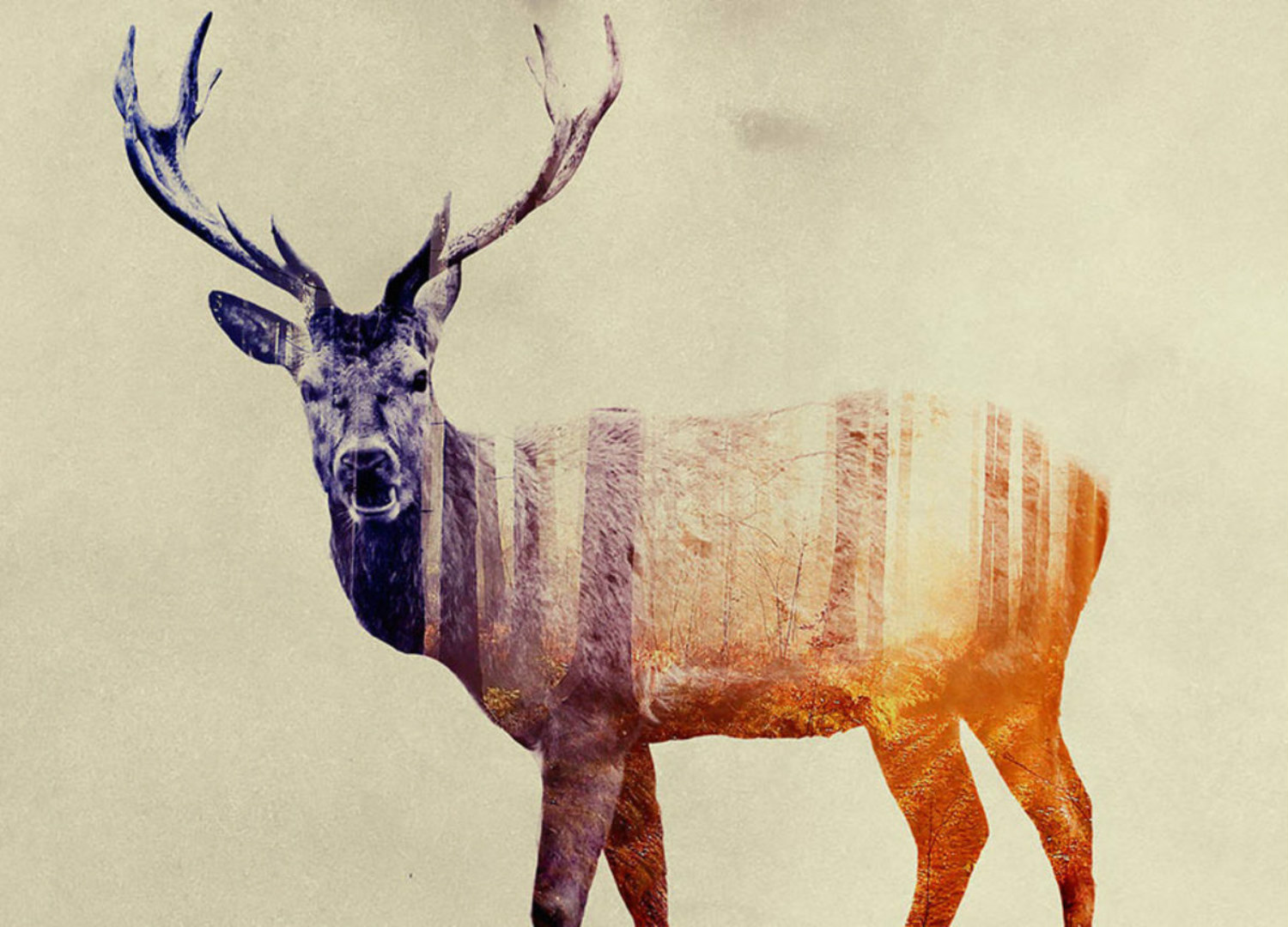 andreas lie double exposure animals stag