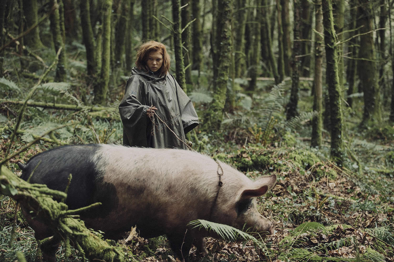 girl with pig in forest, The Lobster movie