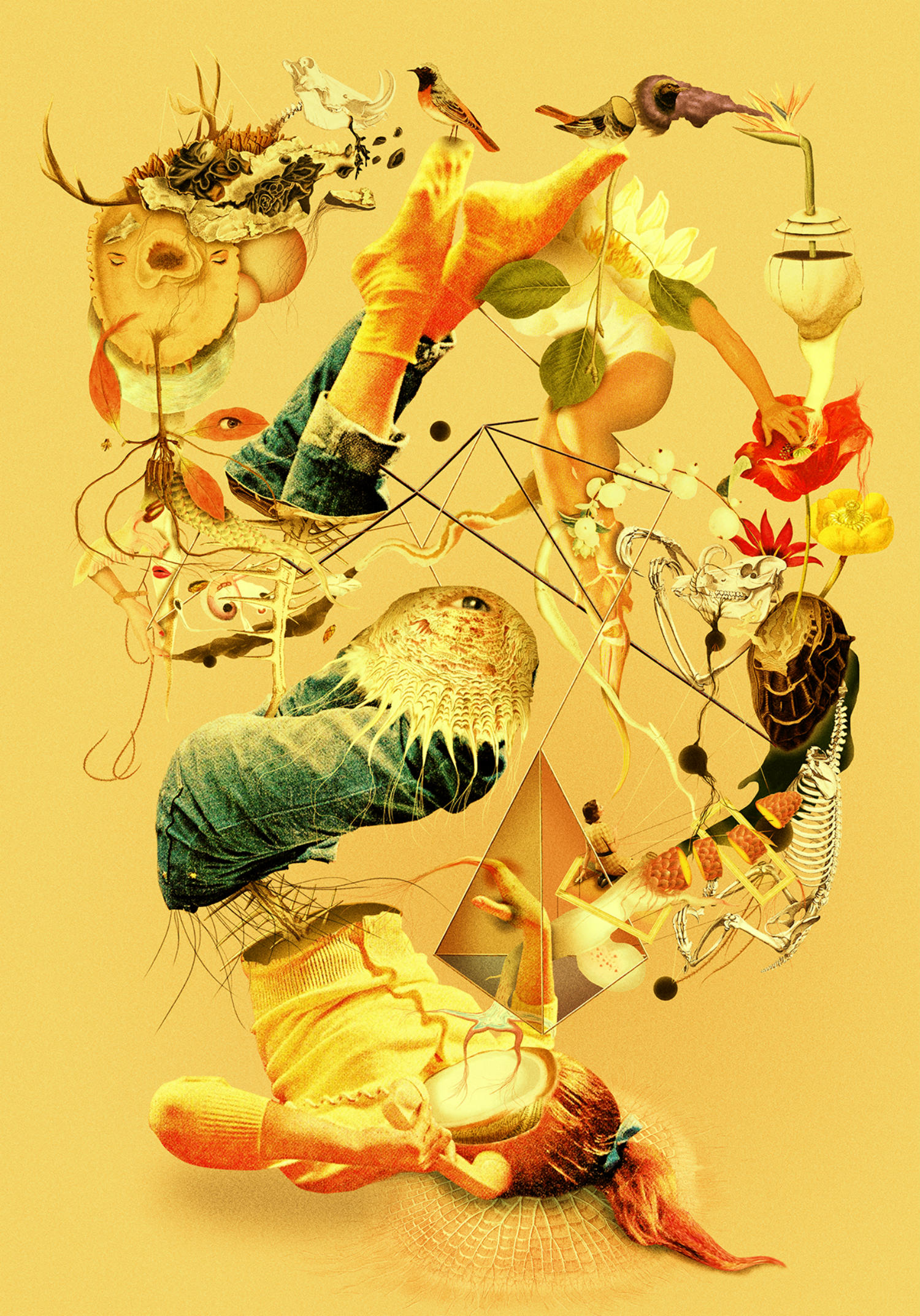 dromsjel illustration colour collage abstract