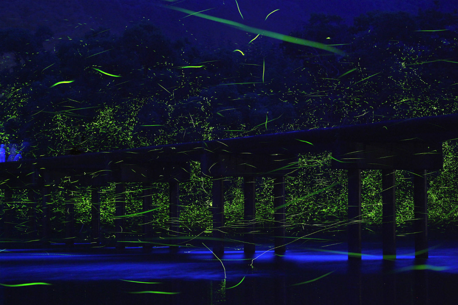 Takehito Miyatake japanese photography landscape colour