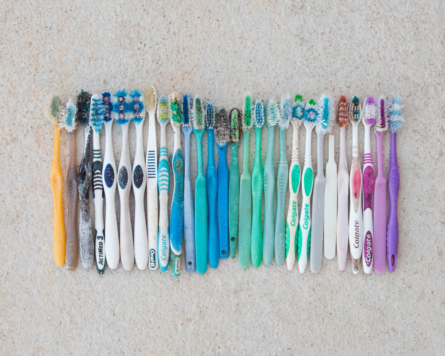 toothbrush lineup