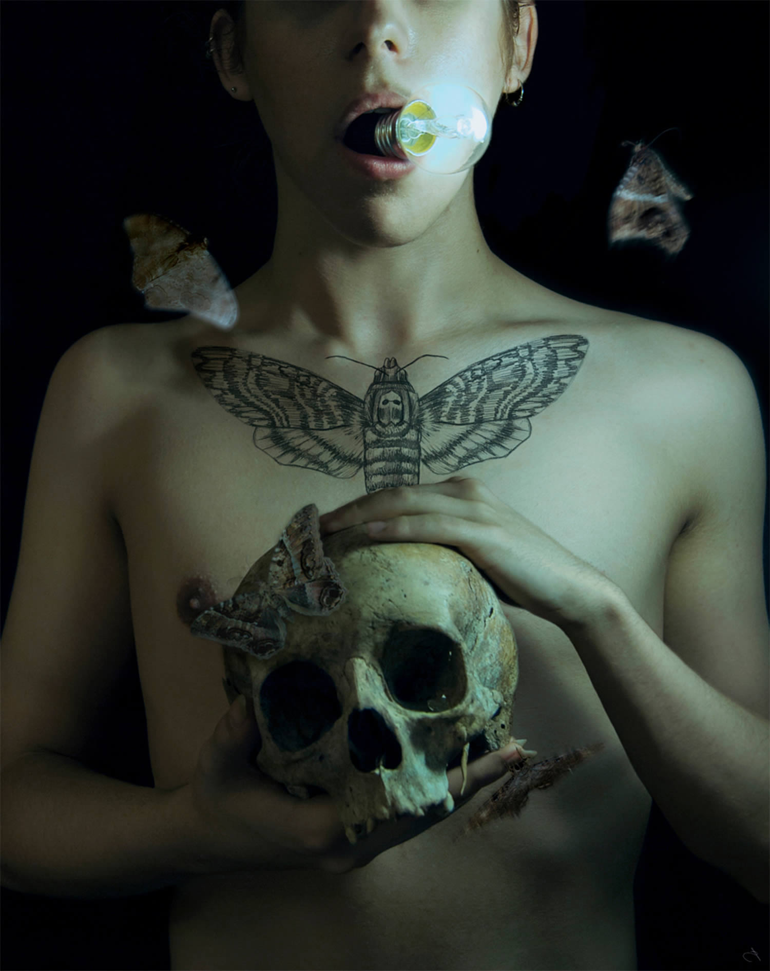 moth and skull, photography by Tadzio Autumn 