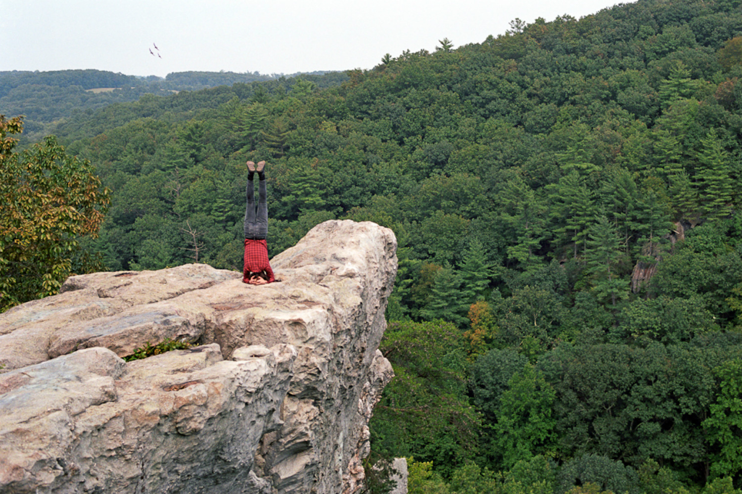 Alex wein self portrait photography trees mountains   