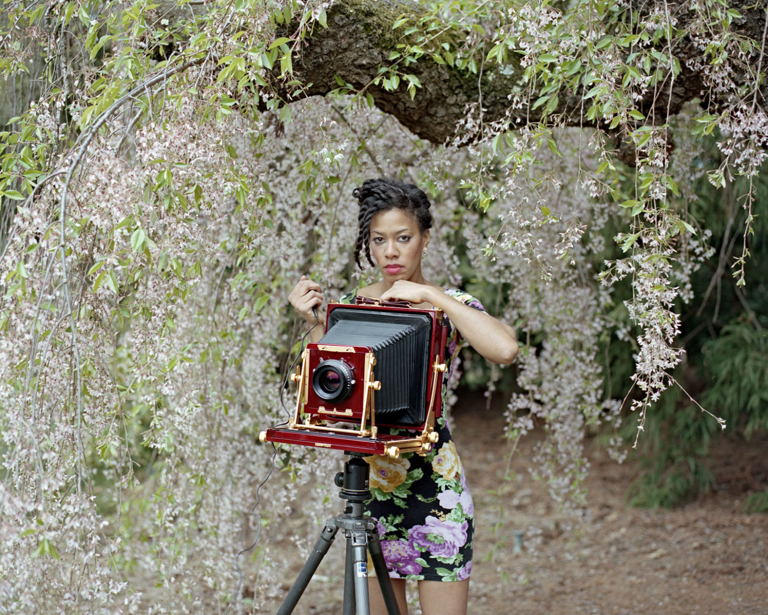 deana lawson self portrait tree flowers