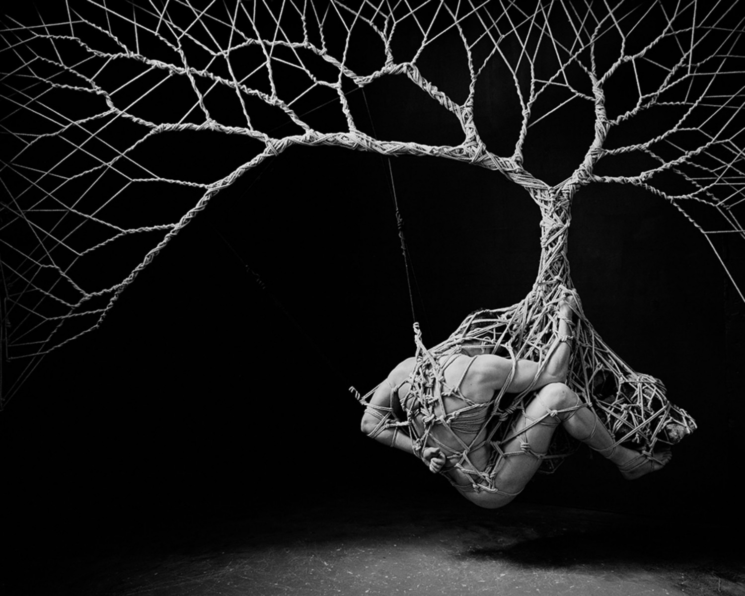 garth knight rope bondage art