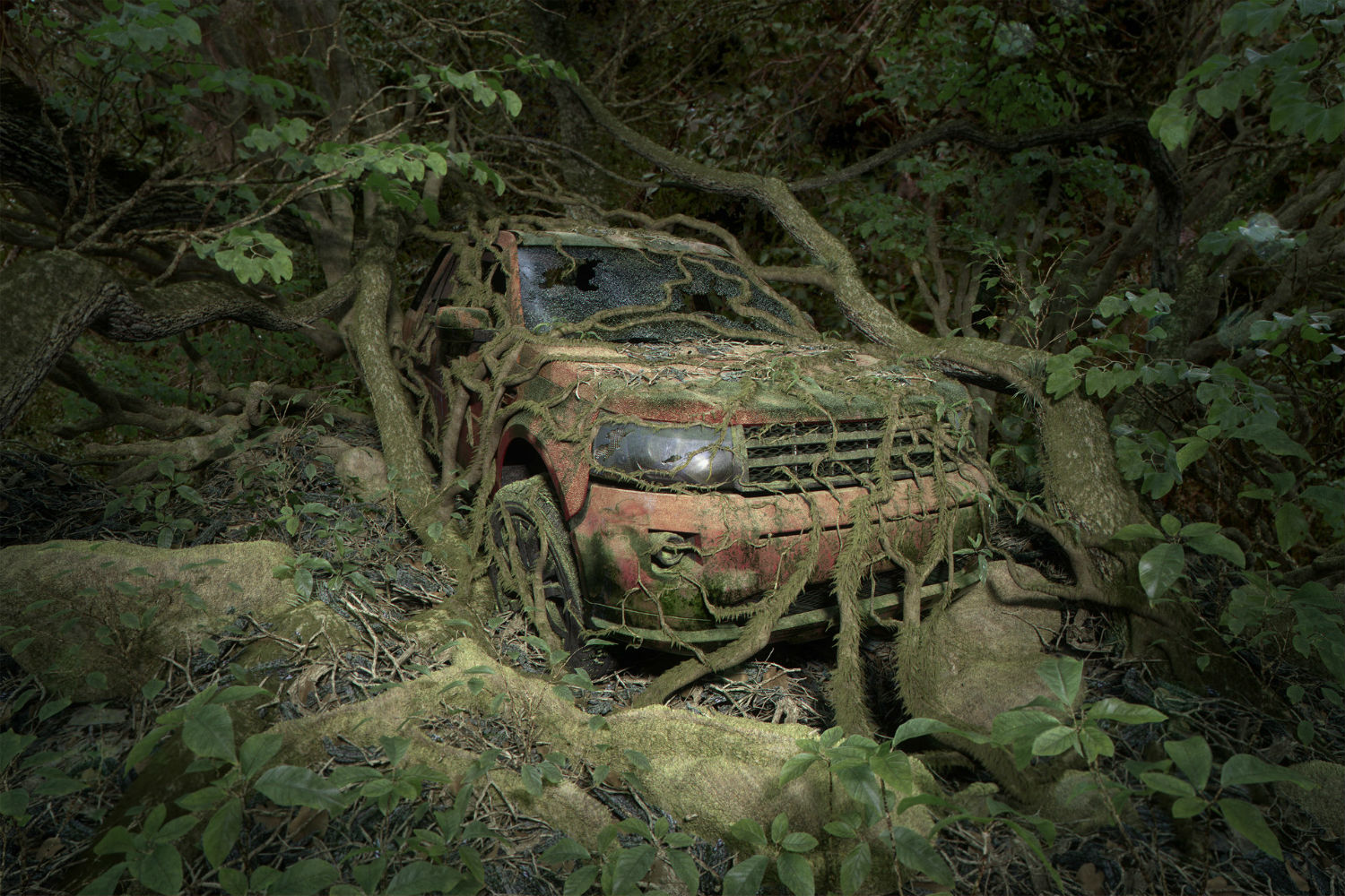 gelmi studio green forest jungle jeep digital art
