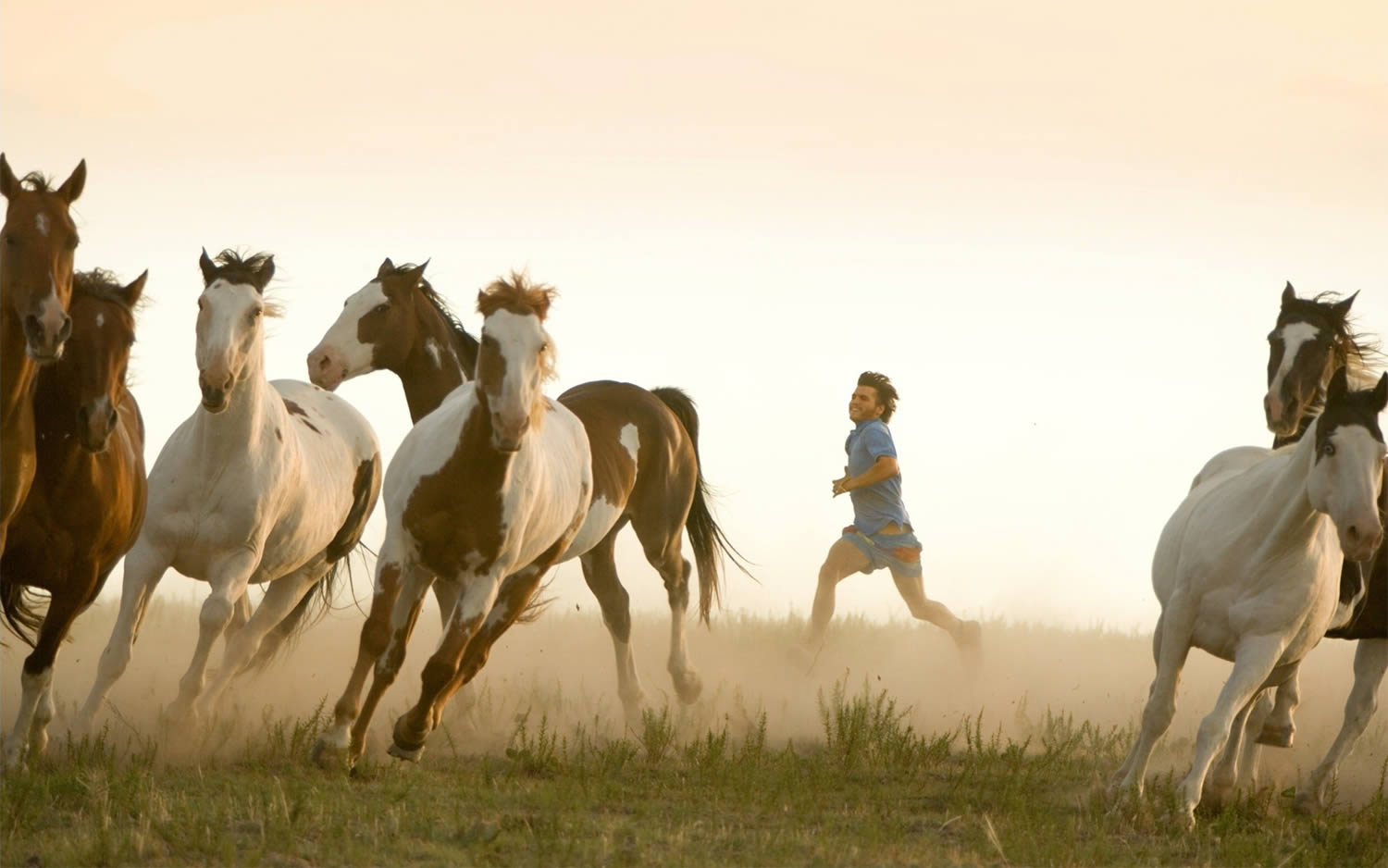 running with horses in into the wild, movie