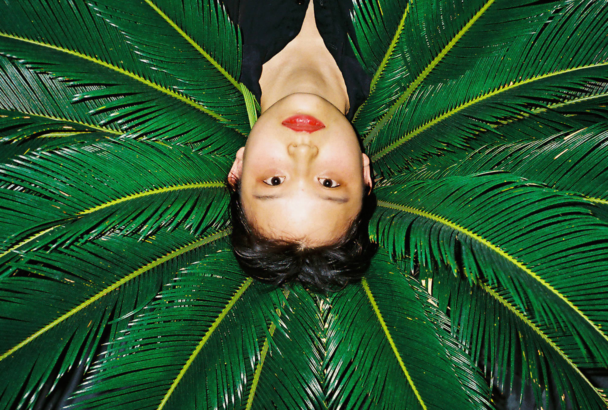 woman upside down over a palm tree leave