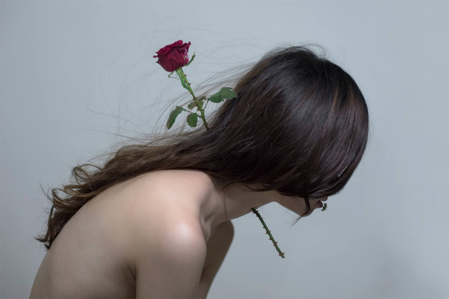 red rose through neck, photo by yung cheng lin