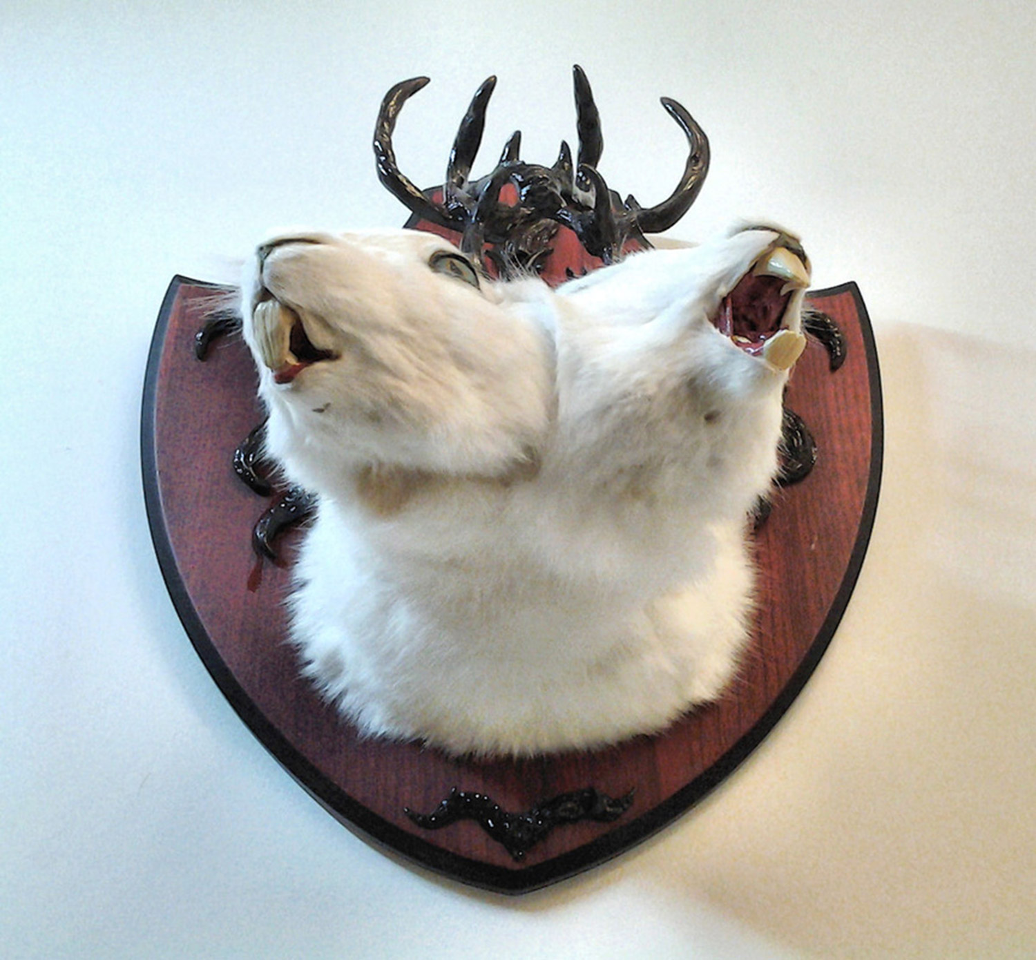 Emi Slade, Conjoined Jackalope, bottom view, 2014