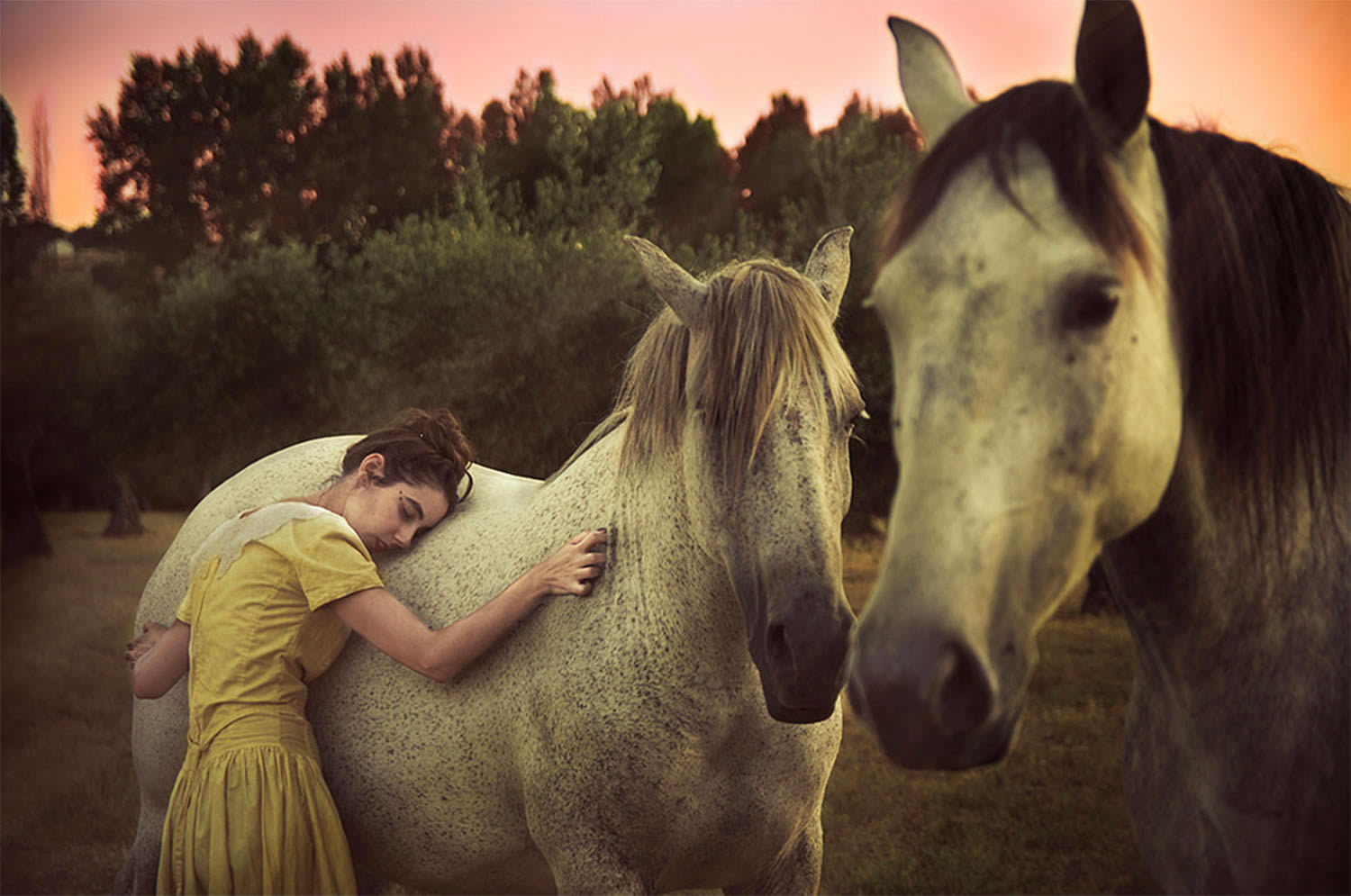 girl and horses, photography