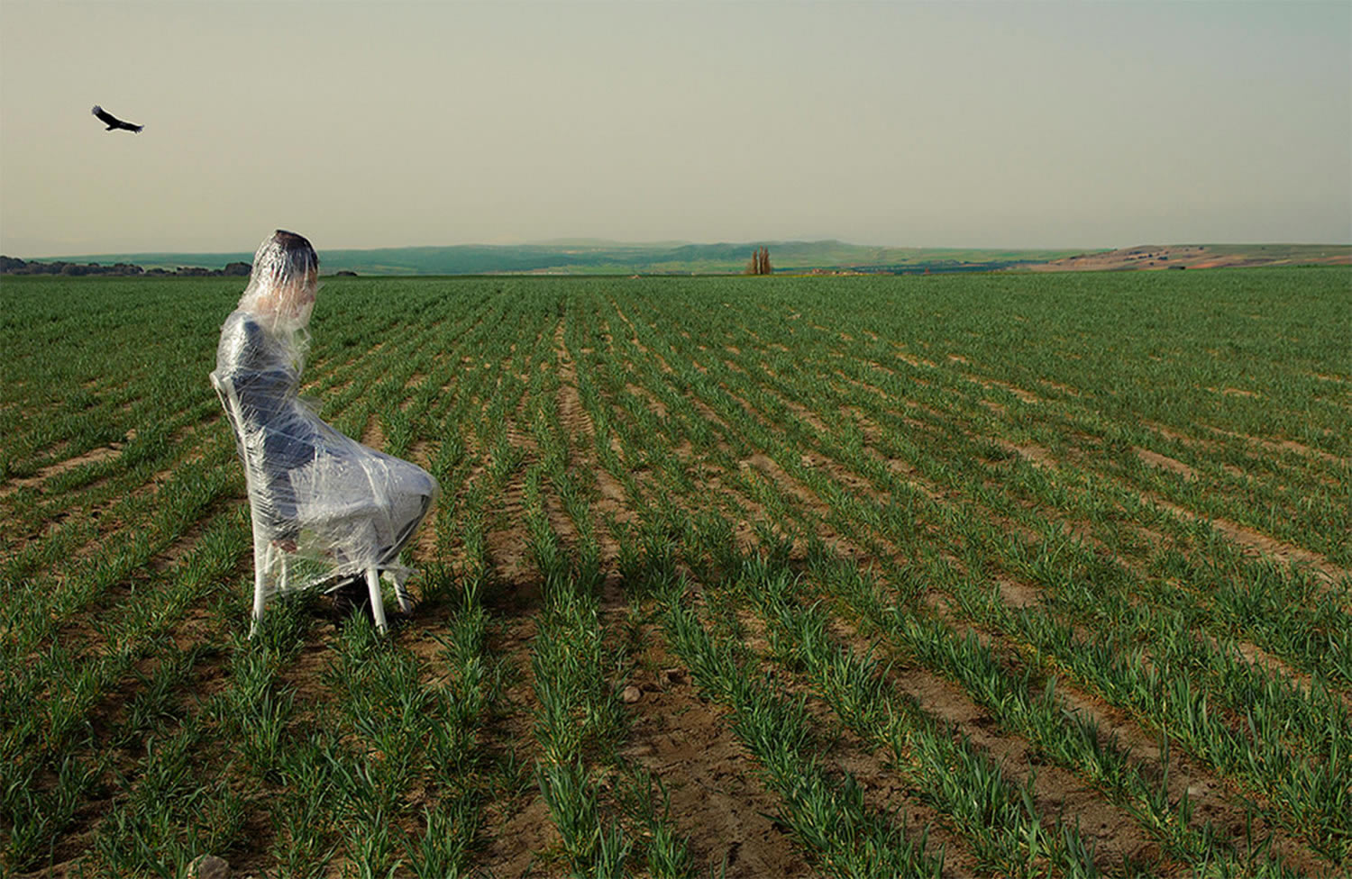 girl in plastic wrap, sitting in field