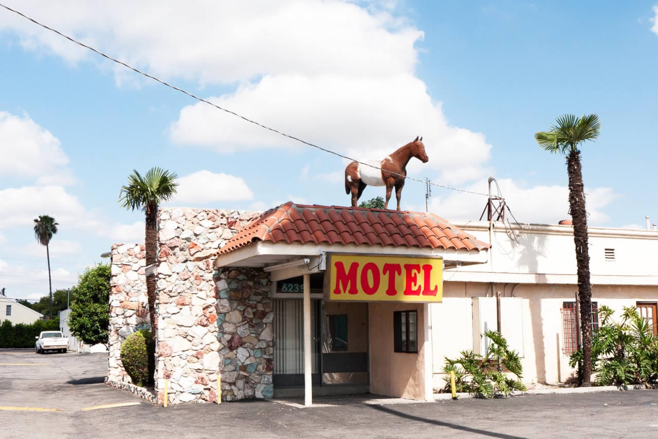 horse on top of motel